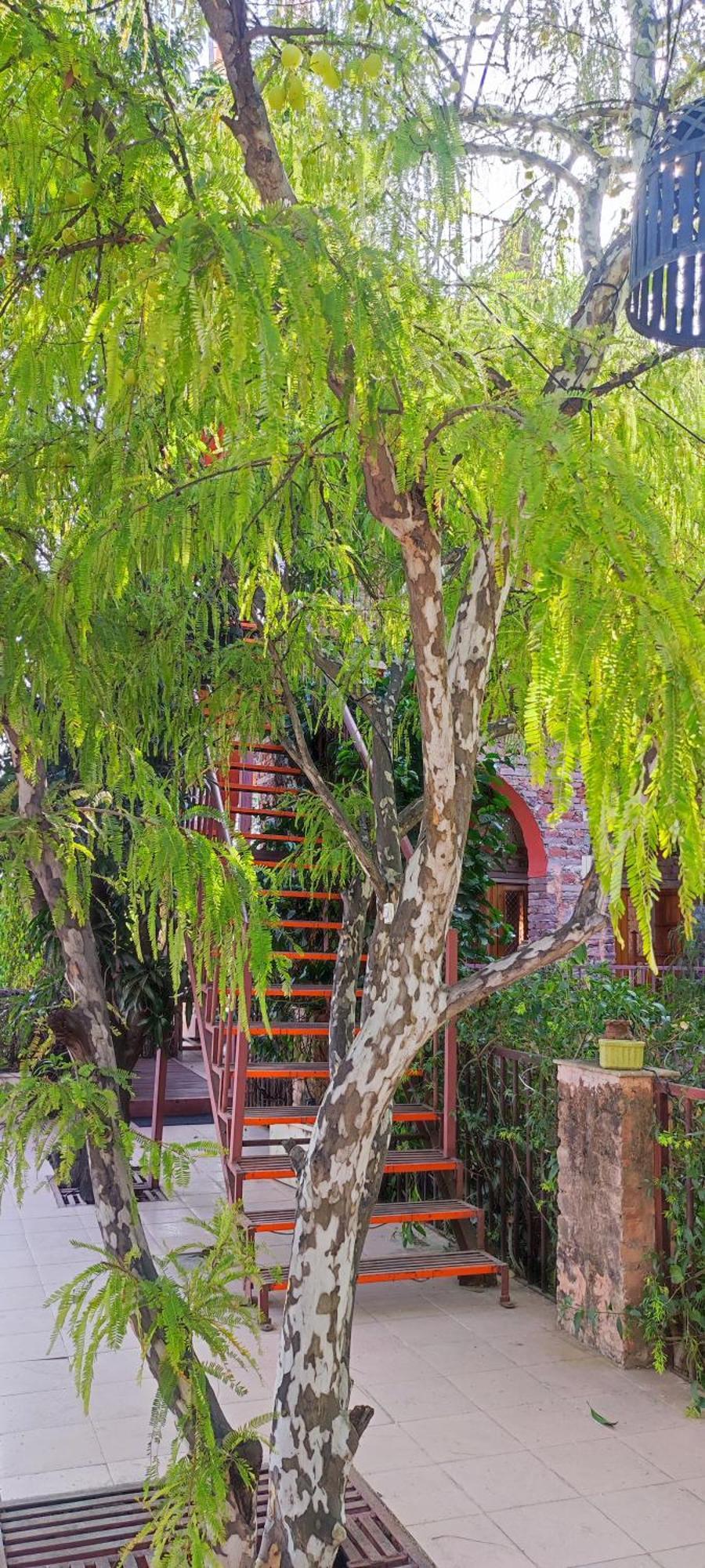 The Secret Garden Bed & Breakfast Pushkar Eksteriør bilde