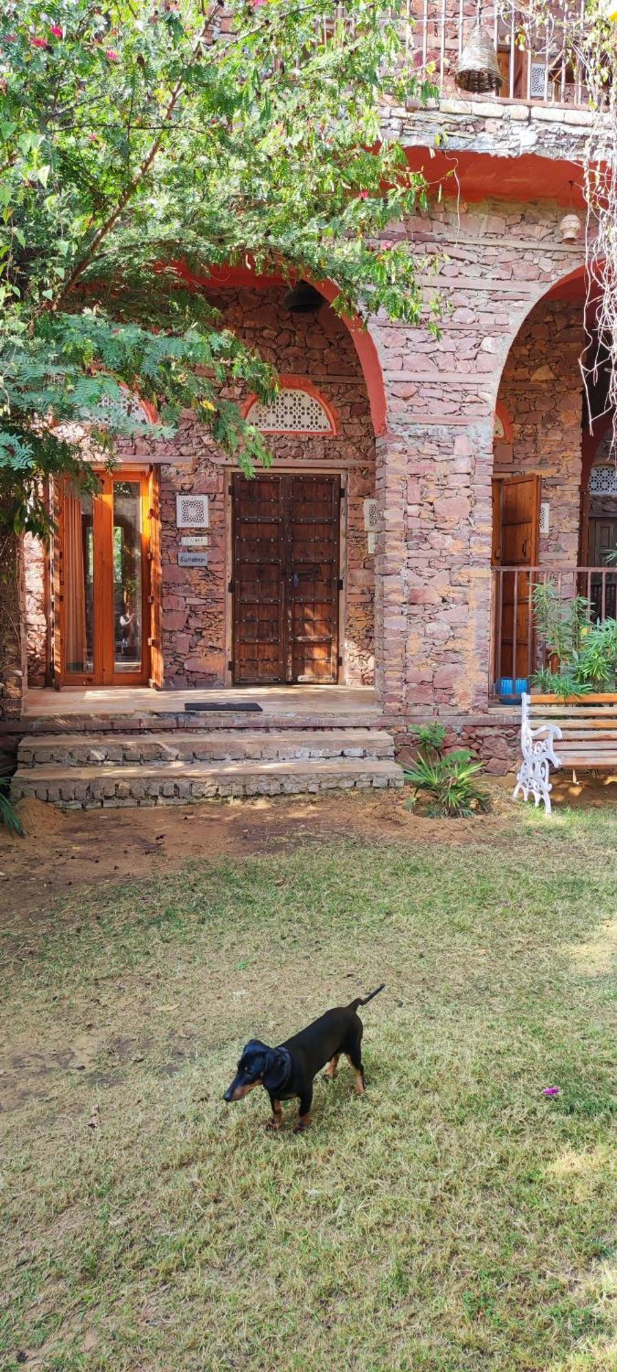 The Secret Garden Bed & Breakfast Pushkar Eksteriør bilde