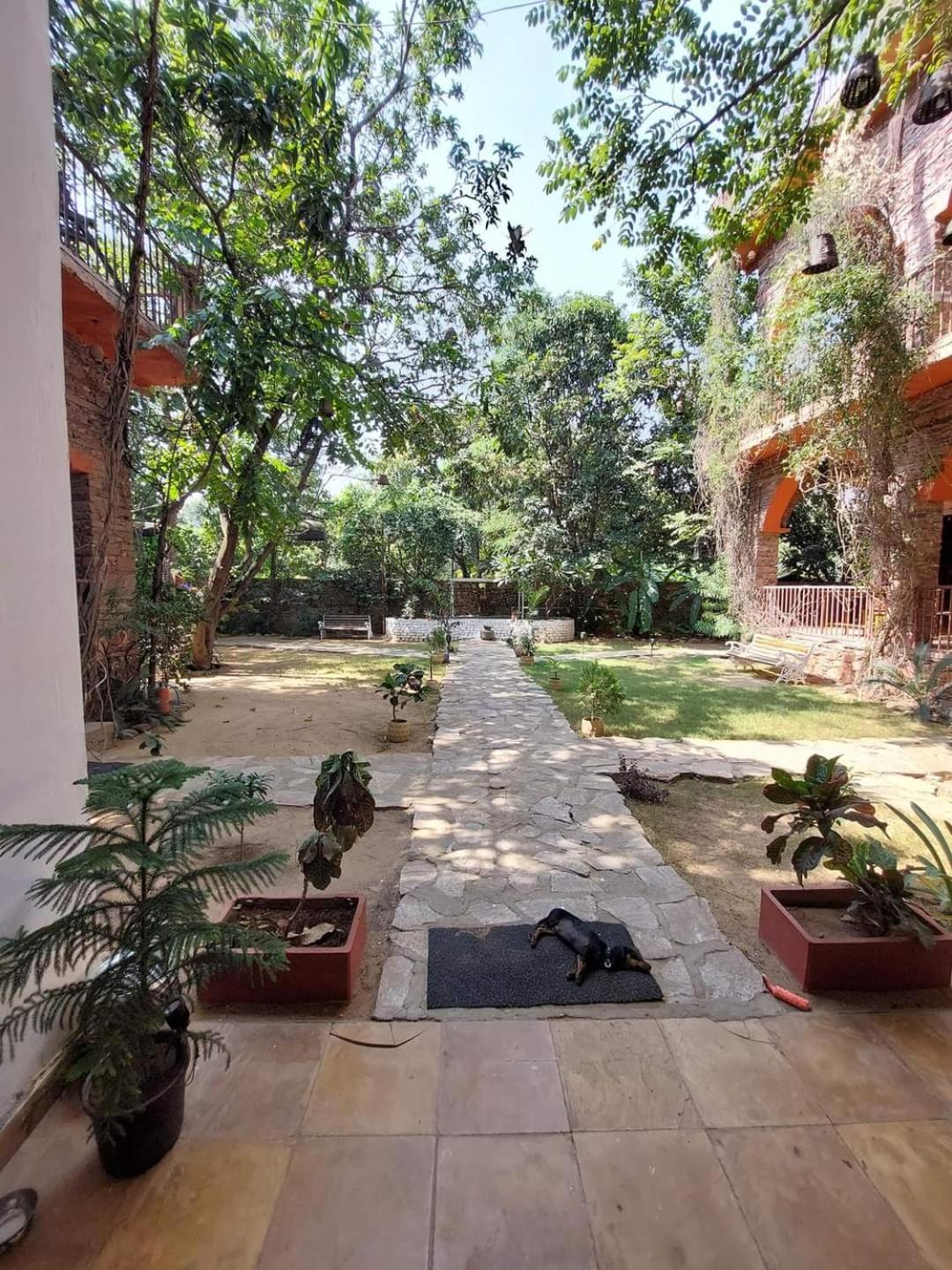 The Secret Garden Bed & Breakfast Pushkar Eksteriør bilde