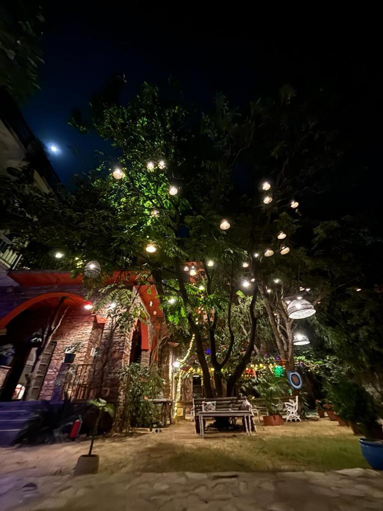 The Secret Garden Bed & Breakfast Pushkar Eksteriør bilde