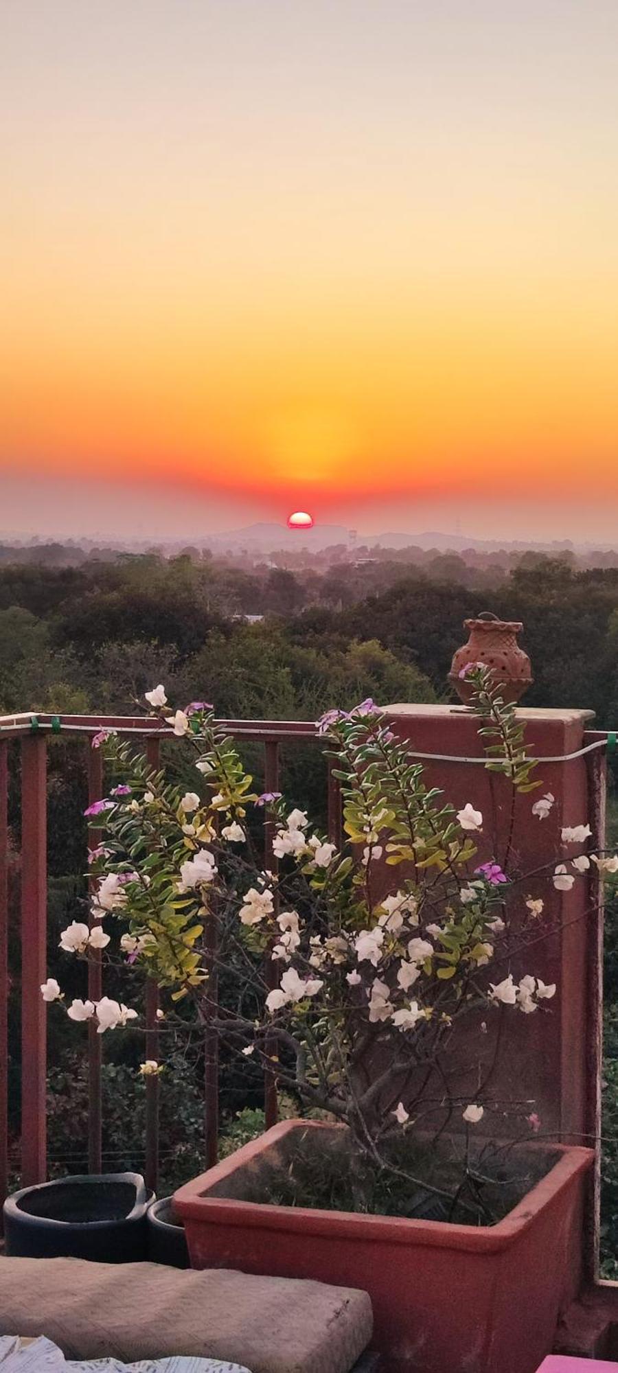 The Secret Garden Bed & Breakfast Pushkar Eksteriør bilde